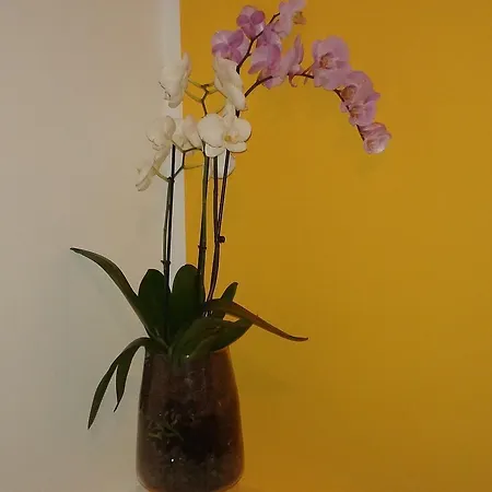 Buonaluna Bed & Breakfast 3*