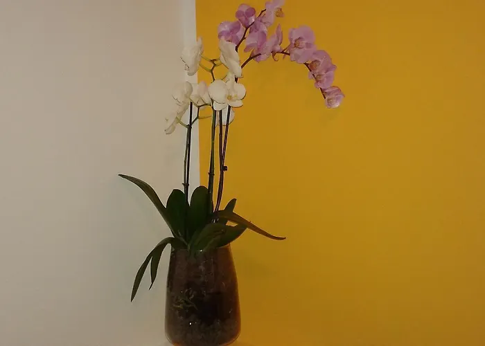 Buonaluna Bed & Breakfast 4*